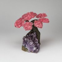 Echter Rosenquarz-Edelsteinbaum Auf Amethyst-Matrix | Der Liebesbaum 12, 5 cm von AstroGalleryOfGems