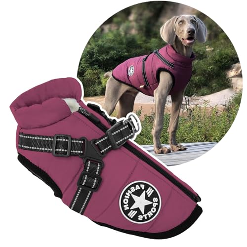 2 in 1 Große Hundejacke mit Geschirr, Outdoor Hund Sport Weste Geschirr, Outdoor Warm Pet Winter Coat Harness für Große Hunde von Oncpcare