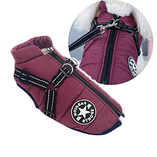 Hundejacke mit Geschirr für kleine Hunde, Outdoor-Hunde-Sportweste, warmer Haustier-Winterjacke für Katzen, Welpen, kleine Hunde von Oncpcare