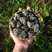 Pyrit - Rauer Roher Natürlicher Katzengold Pyrit - Rauer Roher Natürlicher Katzengold von OneInfinityShop