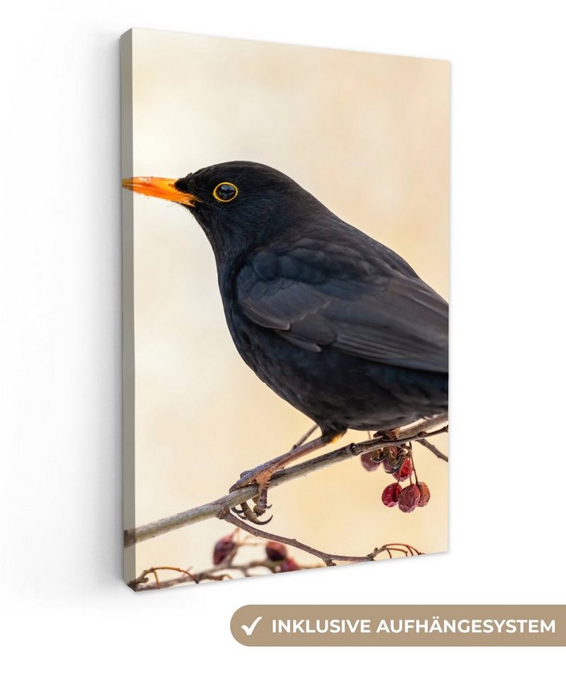 OneMillionCanvasses® Leinwandbild Amsel - Vogel - Zweige - Beere - Rot, (1 St), Leinwandbild fertig bespannt inkl. Zackenaufhänger, Gemälde, 20x30 cm von OneMillionCanvasses®