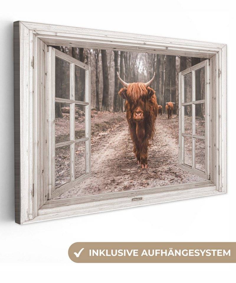 OneMillionCanvasses® Leinwandbild Ansicht - Schottischer Highlander - Fenster, Fotodruck (1 St), Leinwand Bilder Klein, Wand Dekoration Aesthetic 30x20 cm von OneMillionCanvasses®