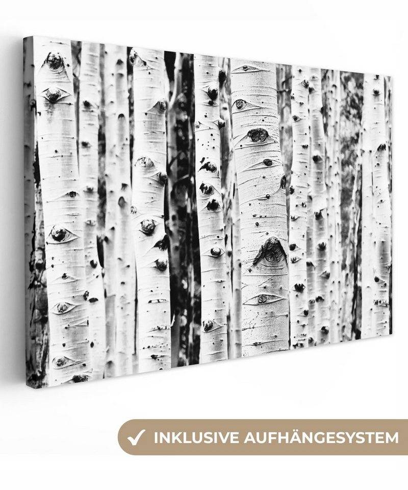 OneMillionCanvasses® Leinwandbild Bäume - Holz - Schwarz und weiß - Natur, (1 St), Wandbild Leinwandbilder, Aufhängefertig, Wanddeko, 30x20 cm von OneMillionCanvasses®