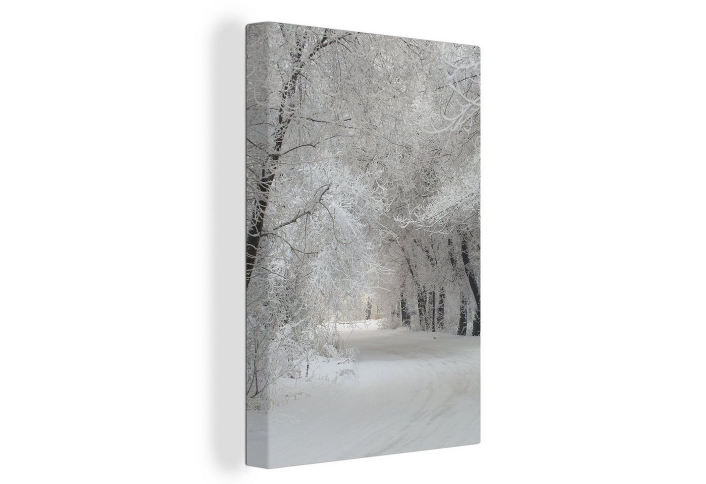 OneMillionCanvasses® Leinwandbild Bäume - Schnee - Winter, (1 St), Leinwandbild fertig bespannt inkl. Zackenaufhänger, Gemälde, 20x30 cm von OneMillionCanvasses®