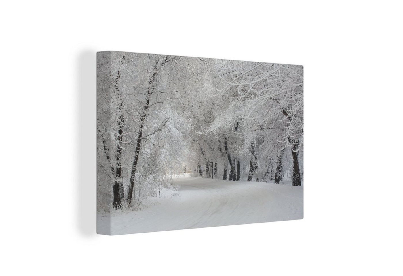 OneMillionCanvasses® Leinwandbild Bäume - Schnee - Winter, (1 St), Wandbild Leinwandbilder, Aufhängefertig, Wanddeko, 30x20 cm von OneMillionCanvasses®