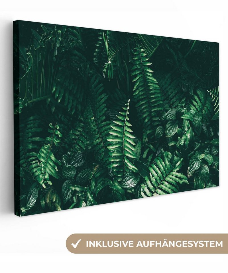OneMillionCanvasses® Leinwandbild Blätter - Dschungel - Natur - Tropisch - Pflanzen, (1 St), Leinwand Bilder Klein, Wand Dekoration Aesthetic 30x20 cm von OneMillionCanvasses®