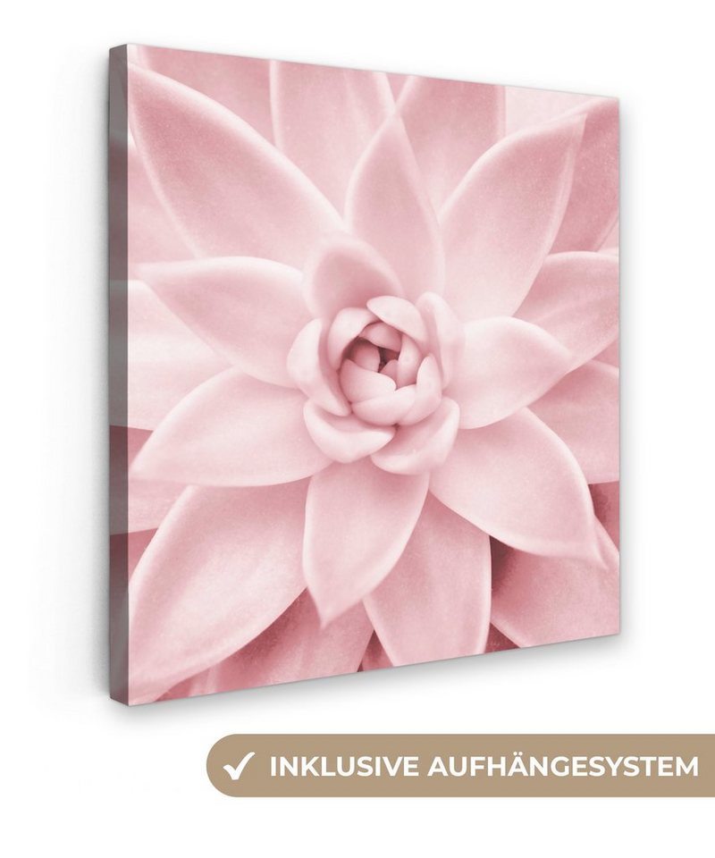 OneMillionCanvasses® Leinwandbild Blume - Rosa - Natur - Pflanze, (1 St), Leinwand Bilder für Wohnzimmer Schlafzimmer von OneMillionCanvasses®