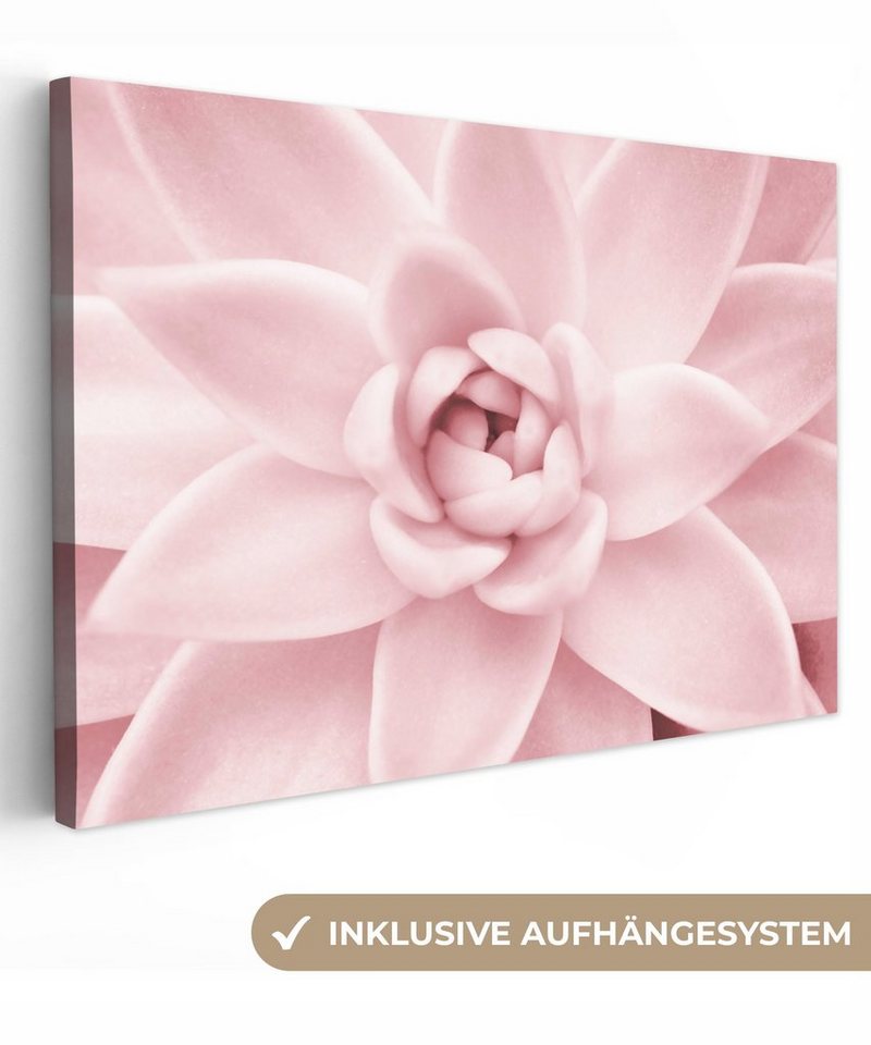 OneMillionCanvasses® Leinwandbild Blume - Rosa - Natur - Pflanze, (1 St), Wandbild Leinwandbilder, Aufhängefertig, Wanddeko, 30x20 cm von OneMillionCanvasses®