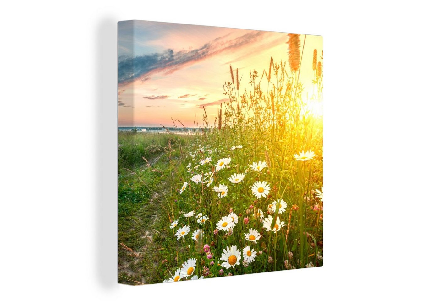 OneMillionCanvasses® Leinwandbild Blumen - Gänseblümchen - Natur - Sonne - Horizont, (1 St), Leinwand Bilder für Wohnzimmer Schlafzimmer von OneMillionCanvasses®