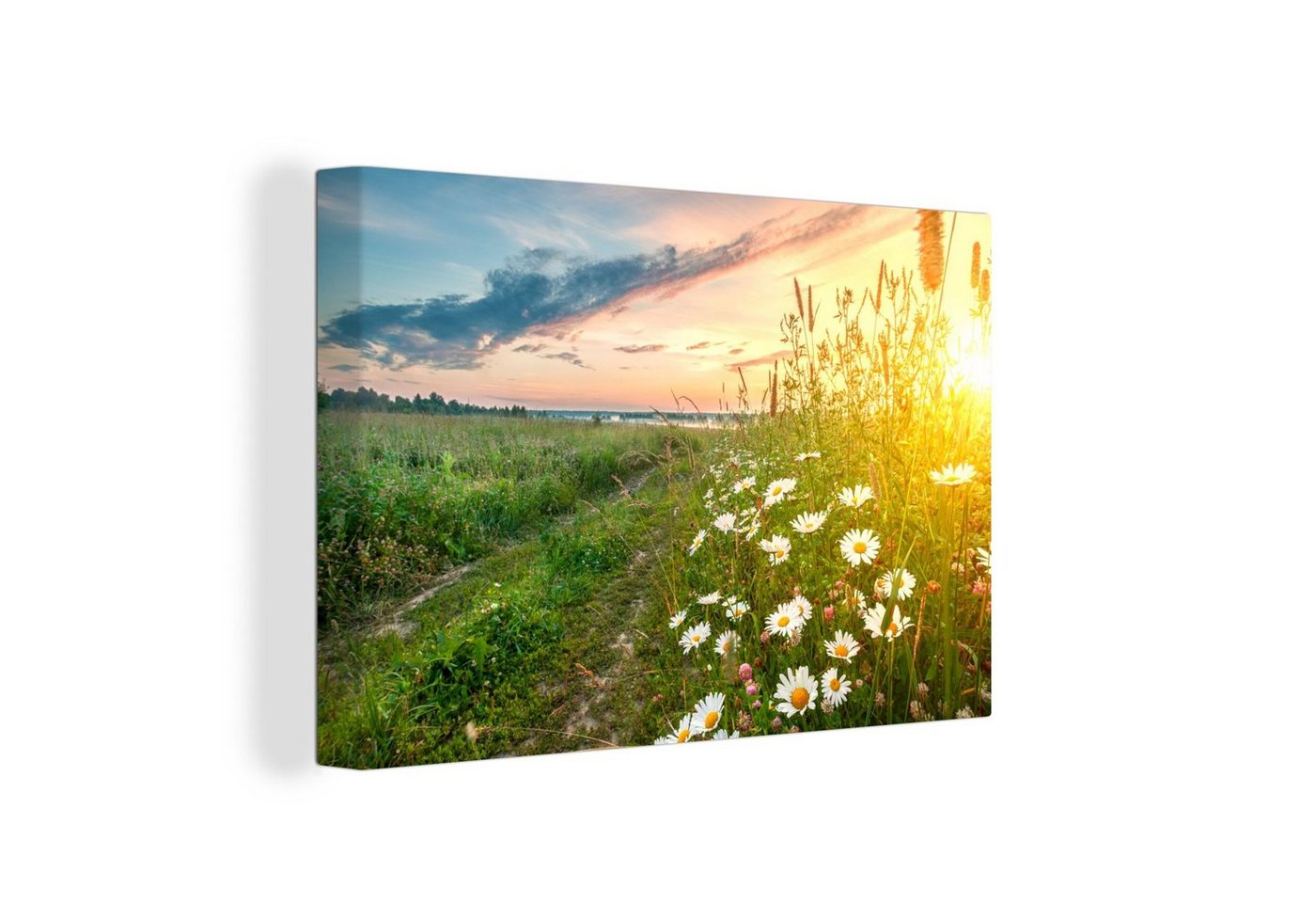 OneMillionCanvasses® Leinwandbild Blumen - Gänseblümchen - Natur - Sonne - Horizont, (1 St), Wandbild Leinwandbilder, Aufhängefertig, Wanddeko, 30x20 cm von OneMillionCanvasses®