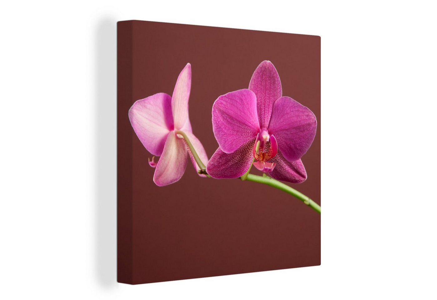 OneMillionCanvasses® Leinwandbild Blumen - Orchideen - Rosa, (1 St), Leinwand Bilder für Wohnzimmer Schlafzimmer von OneMillionCanvasses®