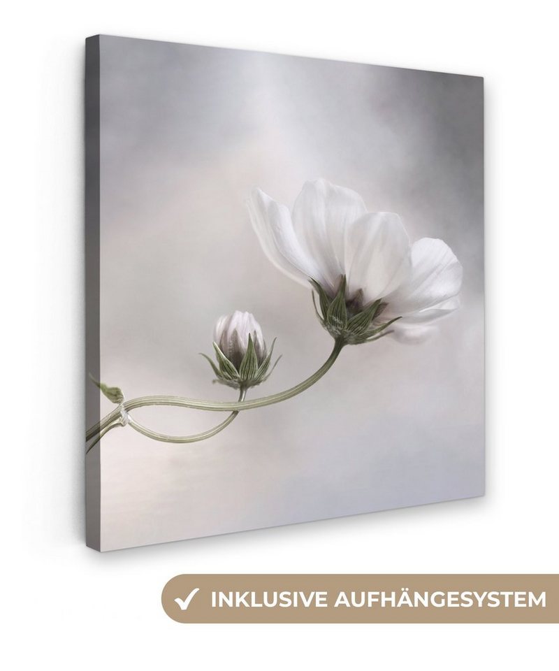 OneMillionCanvasses® Leinwandbild Blumen - Stillleben - Natur - Grau, (1 St), Leinwand Bilder für Wohnzimmer Schlafzimmer, 20x20 cm von OneMillionCanvasses®