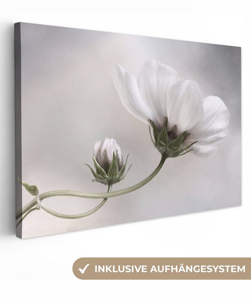 OneMillionCanvasses® Leinwandbild Blumen - Stillleben - Natur - Grau, (1 St), Wandbild Leinwandbilder, Aufhängefertig, Wanddeko, 30x20 cm von OneMillionCanvasses®