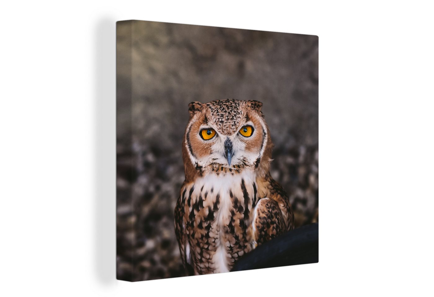 OneMillionCanvasses® Leinwandbild Braune Eule - Vogel - Tiere, Fotodruck (1 St), Wandbild, Deko Schlafzimmer Wohnzimmer Flur 20x20 cm von OneMillionCanvasses®