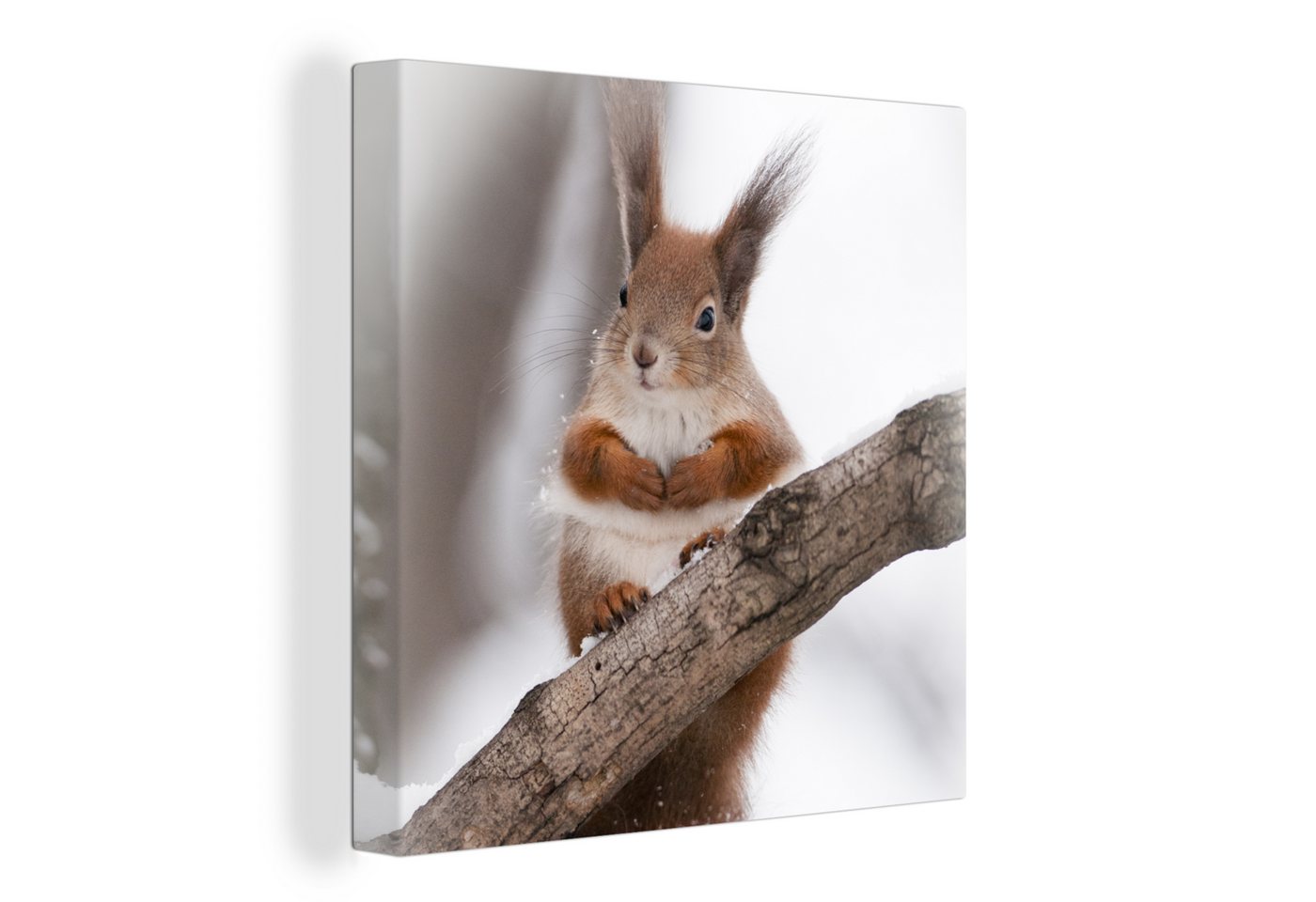 OneMillionCanvasses® Leinwandbild Eichhörnchen - Baum - Schneeflocke - Winter, (1 St), Wandbild, Deko Schlafzimmer Wohnzimmer Flur 20x20 cm von OneMillionCanvasses®