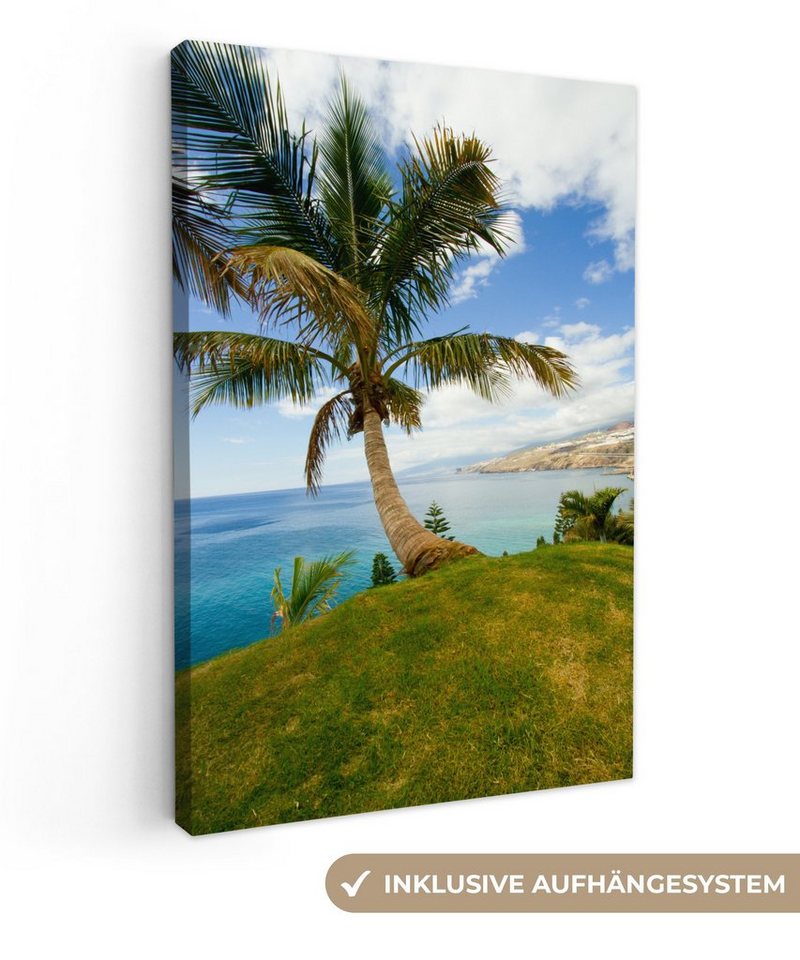 OneMillionCanvasses® Leinwandbild Eine Palme an der Küste von Teneriffa, (1 St), Leinwandbild fertig bespannt inkl. Zackenaufhänger, Gemälde, 20x30 cm von OneMillionCanvasses®