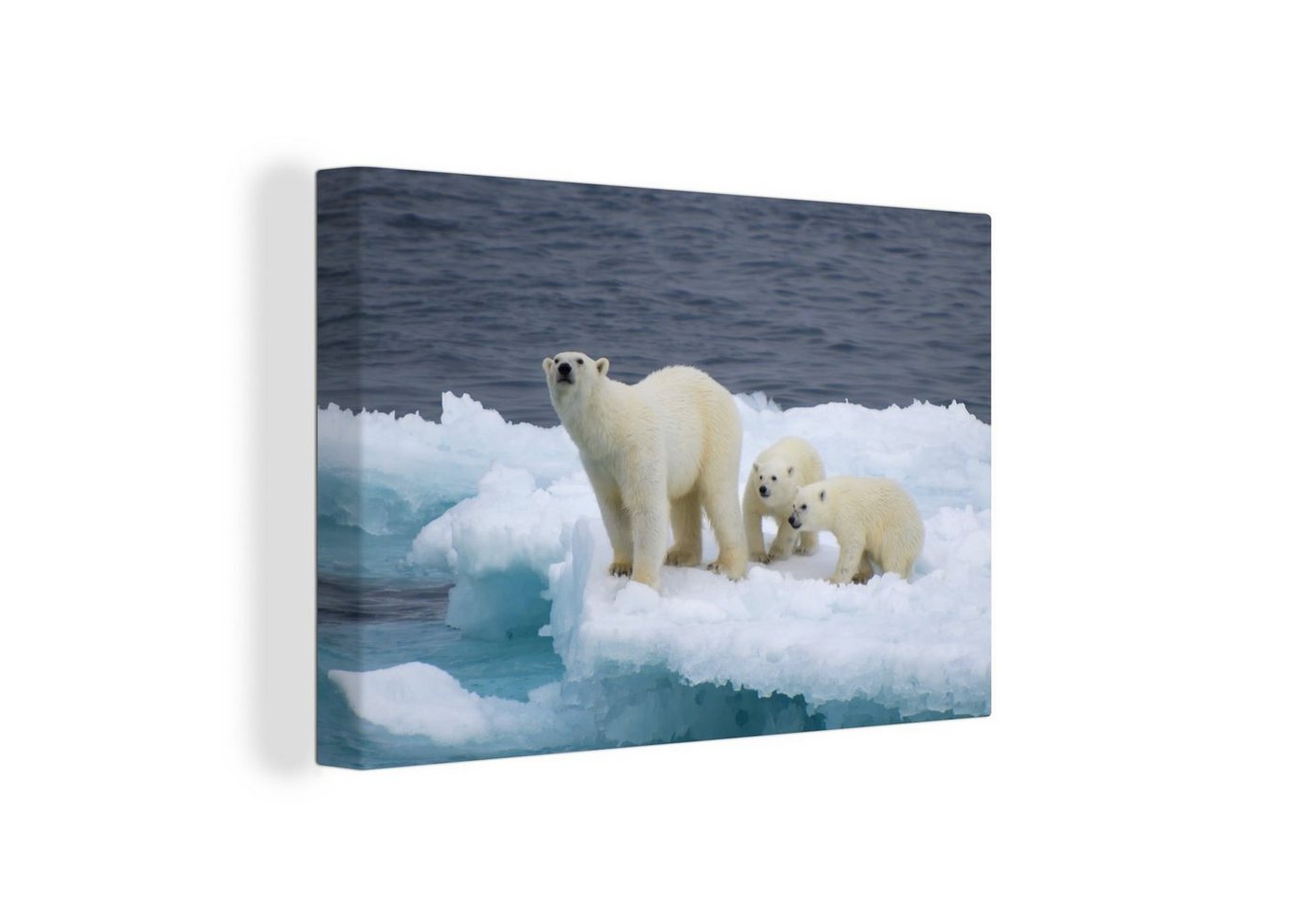 OneMillionCanvasses® Leinwandbild Eisbär - Kind - Eisberg, (1 St), Wandbild Leinwandbilder, Aufhängefertig, Wanddeko, 30x20 cm von OneMillionCanvasses®