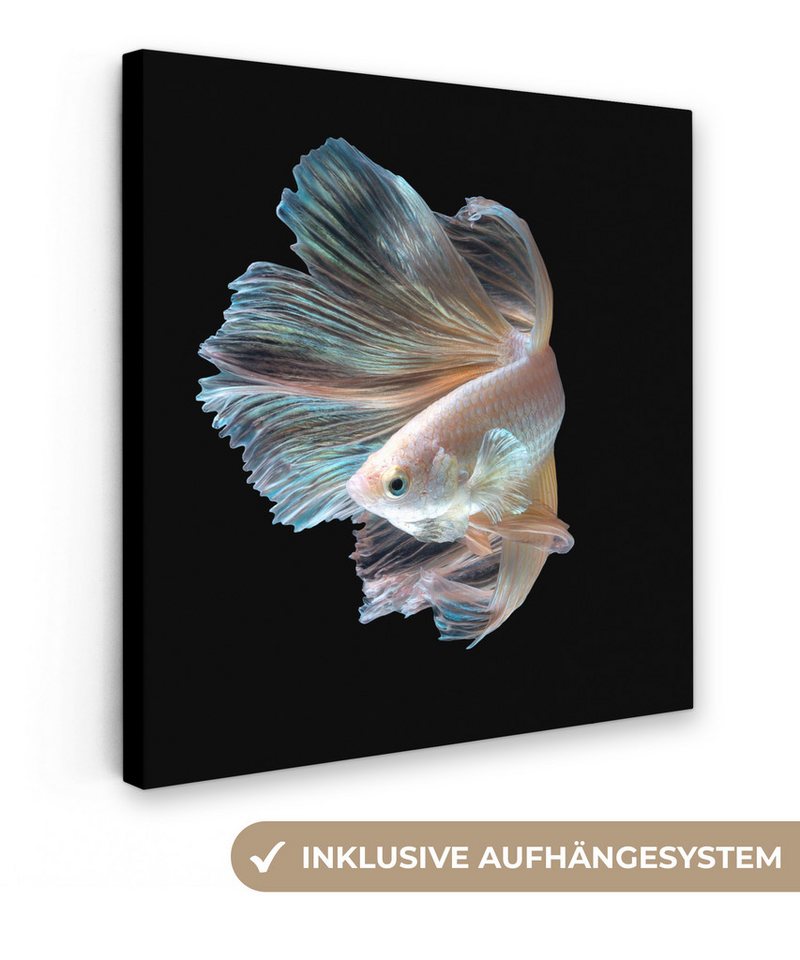 OneMillionCanvasses® Leinwandbild Fisch - Schwanz - Schwarz, (1 St), Wandbild, Deko Schlafzimmer Wohnzimmer Flur 20x20 cm von OneMillionCanvasses®