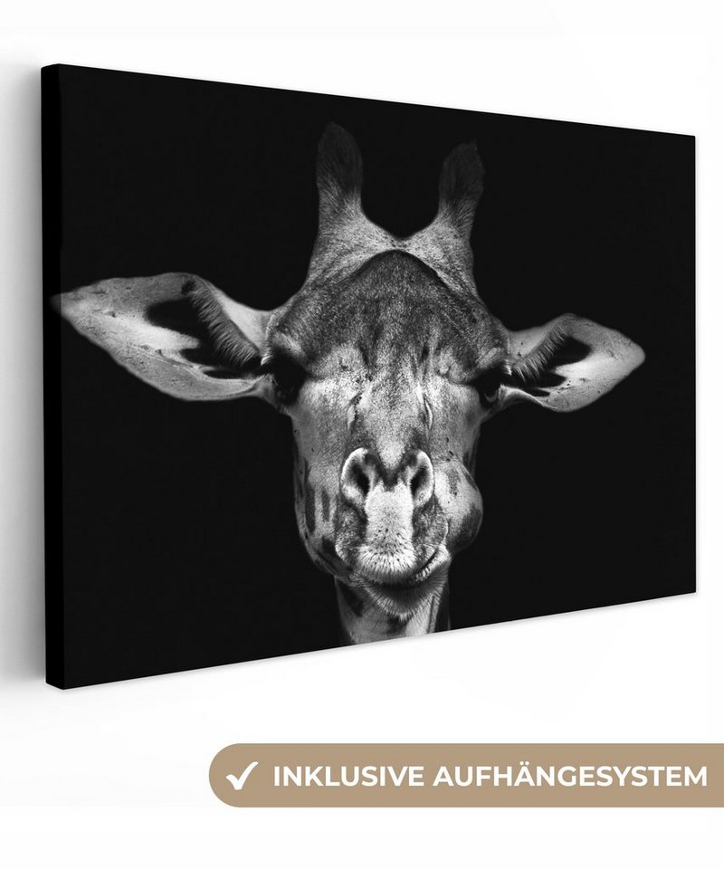 OneMillionCanvasses® Leinwandbild Giraffe - Porträt - Tiere - Schwarz - Weiß, (1 St), Wandbild Leinwandbilder, Aufhängefertig, Wanddeko, 30x20 cm von OneMillionCanvasses®