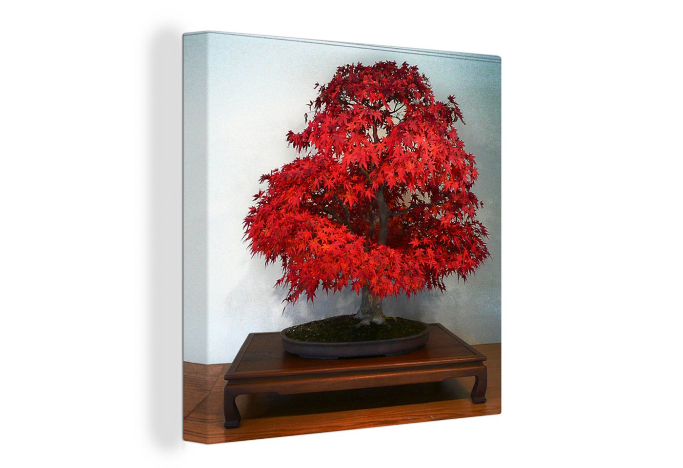 OneMillionCanvasses® Leinwandbild Herbst-Bonsai, (1 St), Leinwand Bilder für Wohnzimmer Schlafzimmer von OneMillionCanvasses®