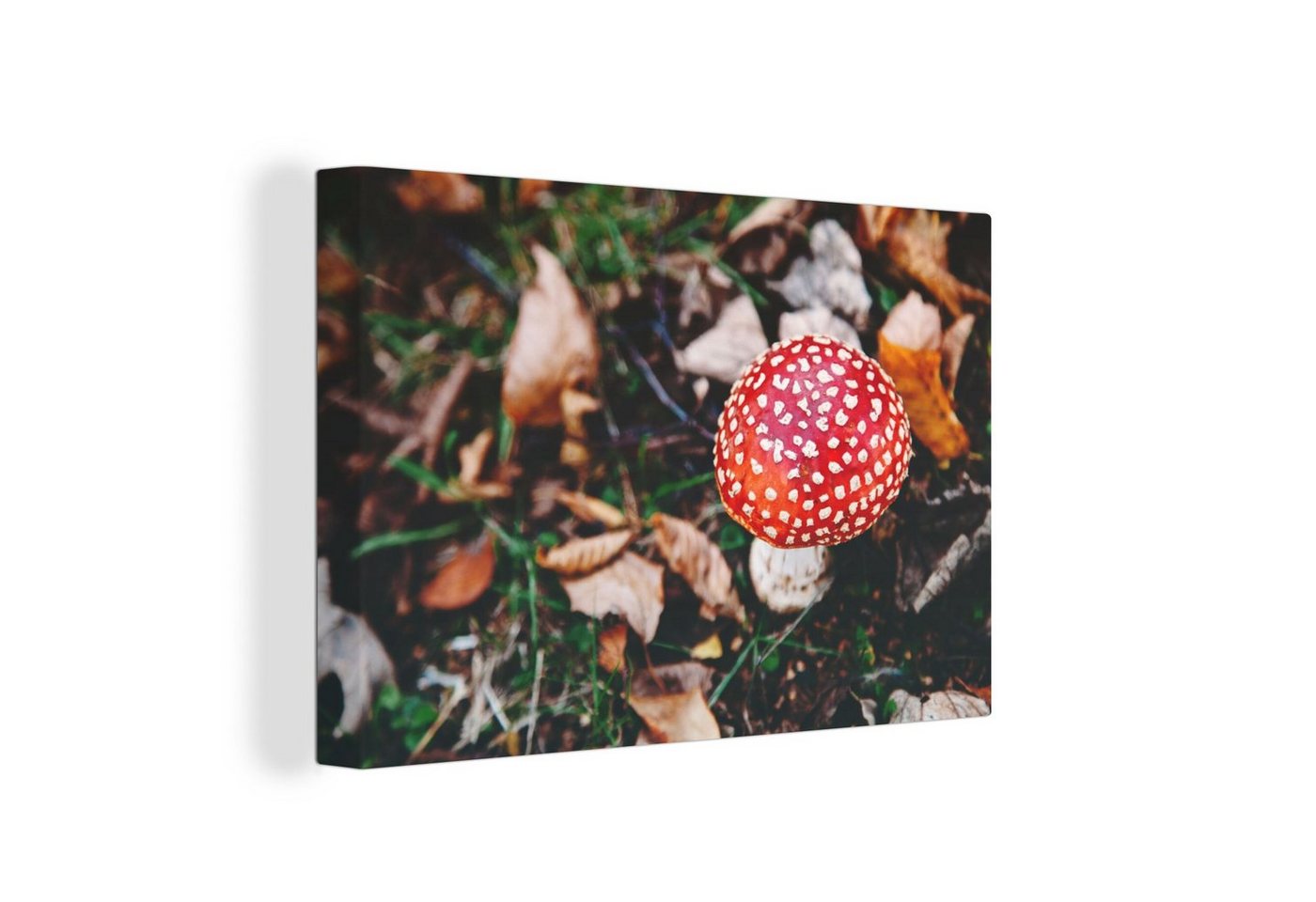 OneMillionCanvasses® Leinwandbild Herbst - Pilz - Blätter - Natur, (1 St), Wandbild Leinwandbilder, Aufhängefertig, Wanddeko, 30x20 cm von OneMillionCanvasses®
