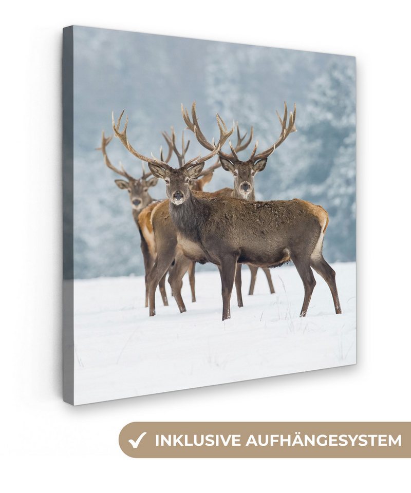 OneMillionCanvasses® Leinwandbild Hirsche - Tiere - Schnee - Winter - Landschaft - Natur, (1 St), Wandbild, Deko Schlafzimmer Wohnzimmer Flur 20x20 cm von OneMillionCanvasses®