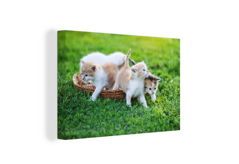 OneMillionCanvasses® Leinwandbild Kätzchen - Katze - Korb - Mädchen - Kinder - Jungen - Kinder, (1 St), Leinwand Bilder Klein, Wand Dekoration Aesthetic 30x20 cm von OneMillionCanvasses®
