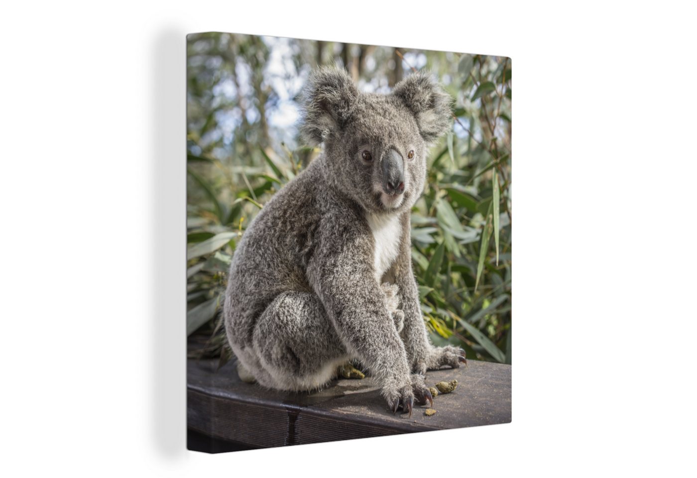 OneMillionCanvasses® Leinwandbild Koala - Holz - Pflanzen - Kinder - Jungen - Mädchen, Fotodruck (1 St), Leinwand Bilder Klein, Wand Dekoration Aesthetic 30x20 cm von OneMillionCanvasses®
