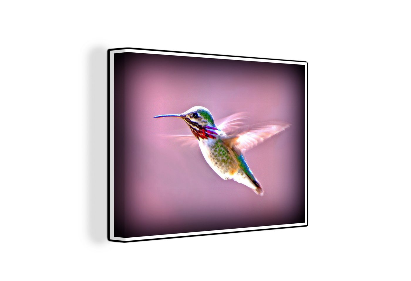 OneMillionCanvasses® Leinwandbild Kolibri - Kunstdrucke - Lila, (1 St), Wandbild Leinwandbilder, Aufhängefertig, Wanddeko 40x30 cm von OneMillionCanvasses®
