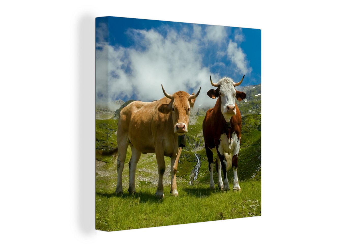 OneMillionCanvasses® Leinwandbild Kühe - Sonne - Landschaft, (1 St), Leinwand Bilder für Wohnzimmer Schlafzimmer von OneMillionCanvasses®