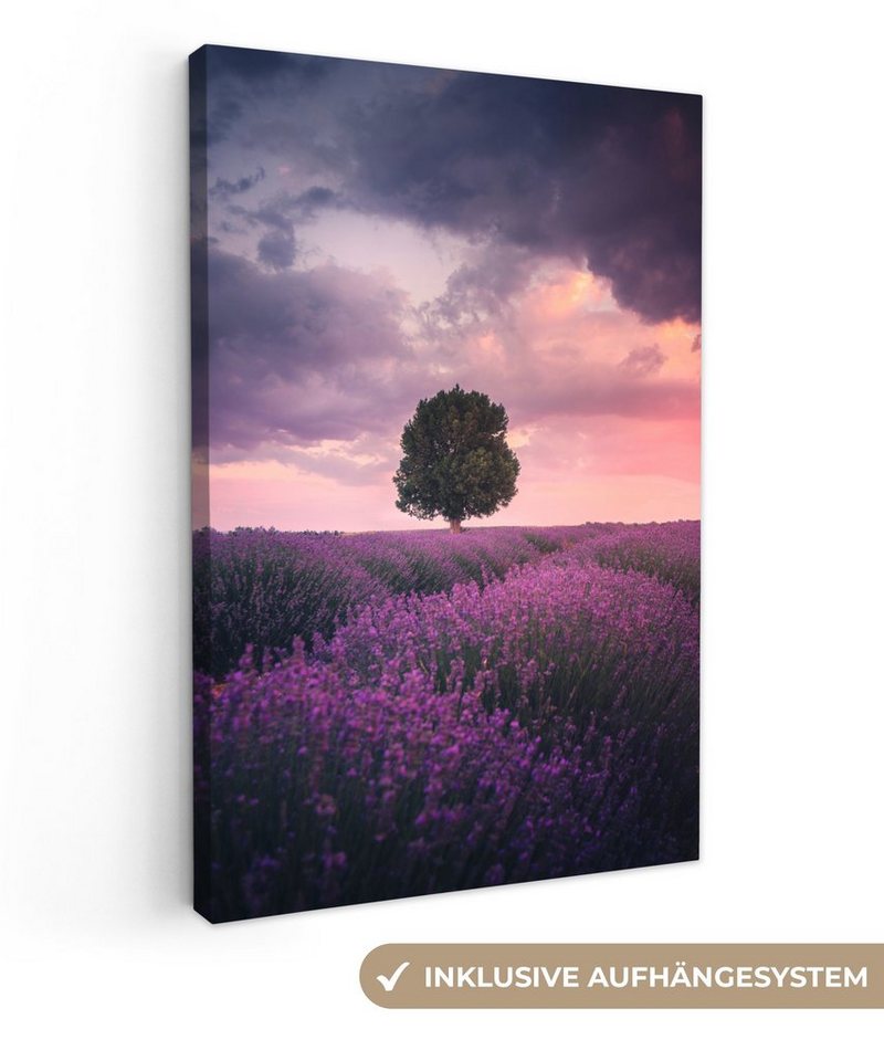 OneMillionCanvasses® Leinwandbild Lavendel - Blumen - Lila - Baum - Natur, Fotodruck (1 St), Bilder groß Wohnzimmer Schlafzimmer 80x120 cm von OneMillionCanvasses®