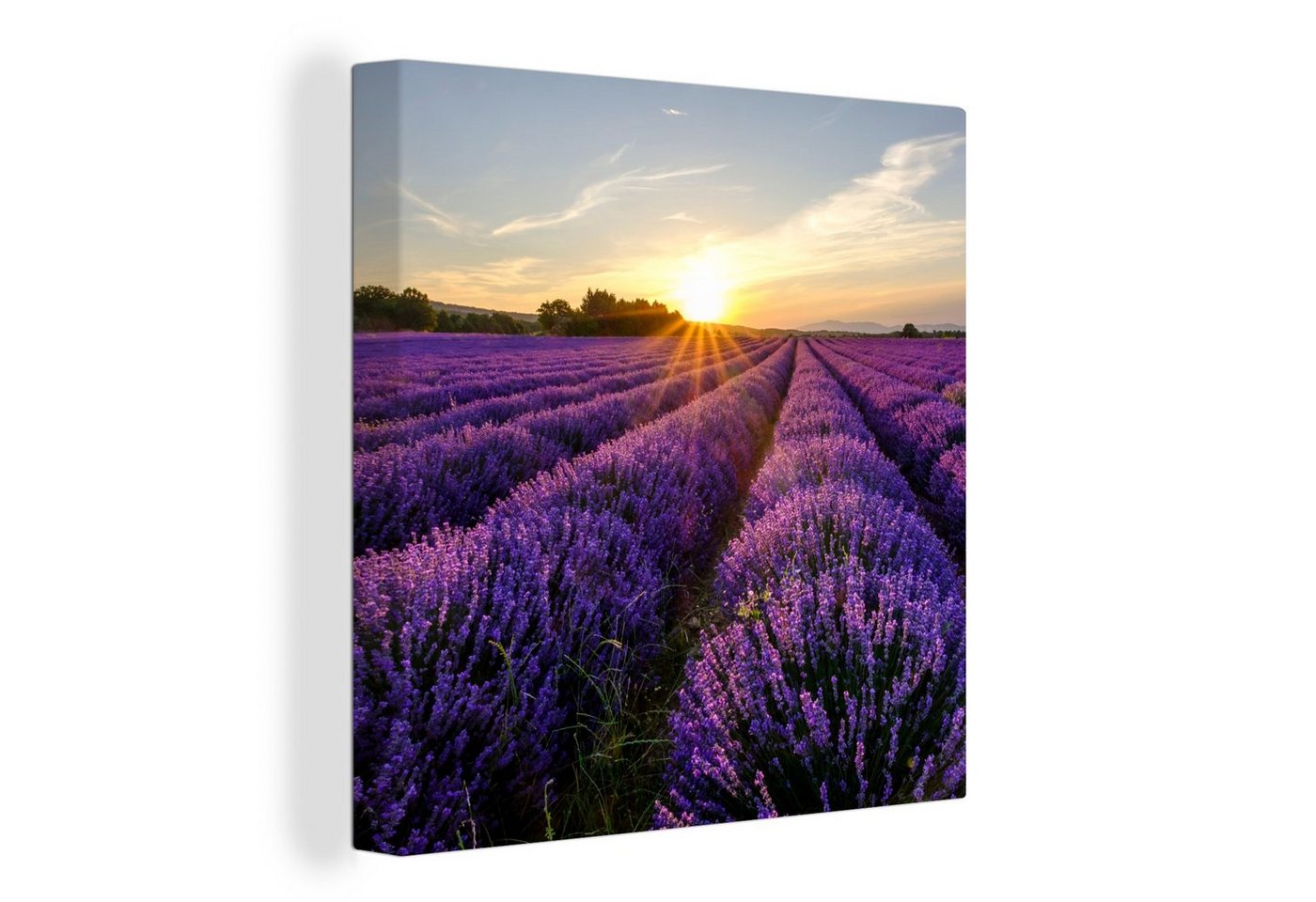OneMillionCanvasses® Leinwandbild Lavendel - Blumen - Sonnenuntergang - Lila, (1 St), Leinwand Bilder für Wohnzimmer Schlafzimmer von OneMillionCanvasses®