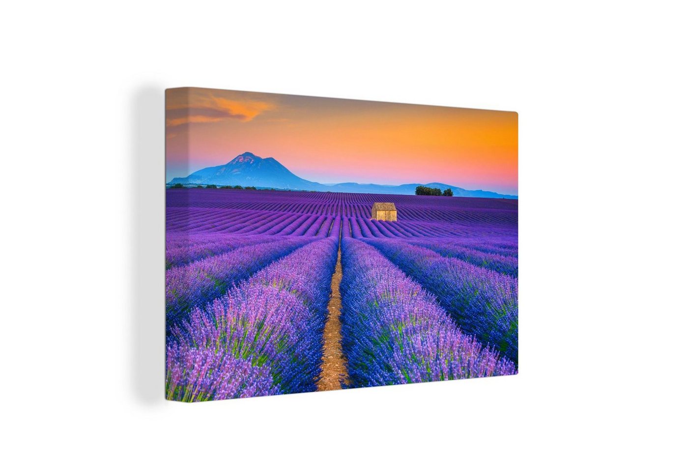 OneMillionCanvasses® Leinwandbild Lavendel - Lila - Blumen, (1 St), Wandbild Leinwandbilder, Aufhängefertig, Wanddeko, 30x20 cm von OneMillionCanvasses®