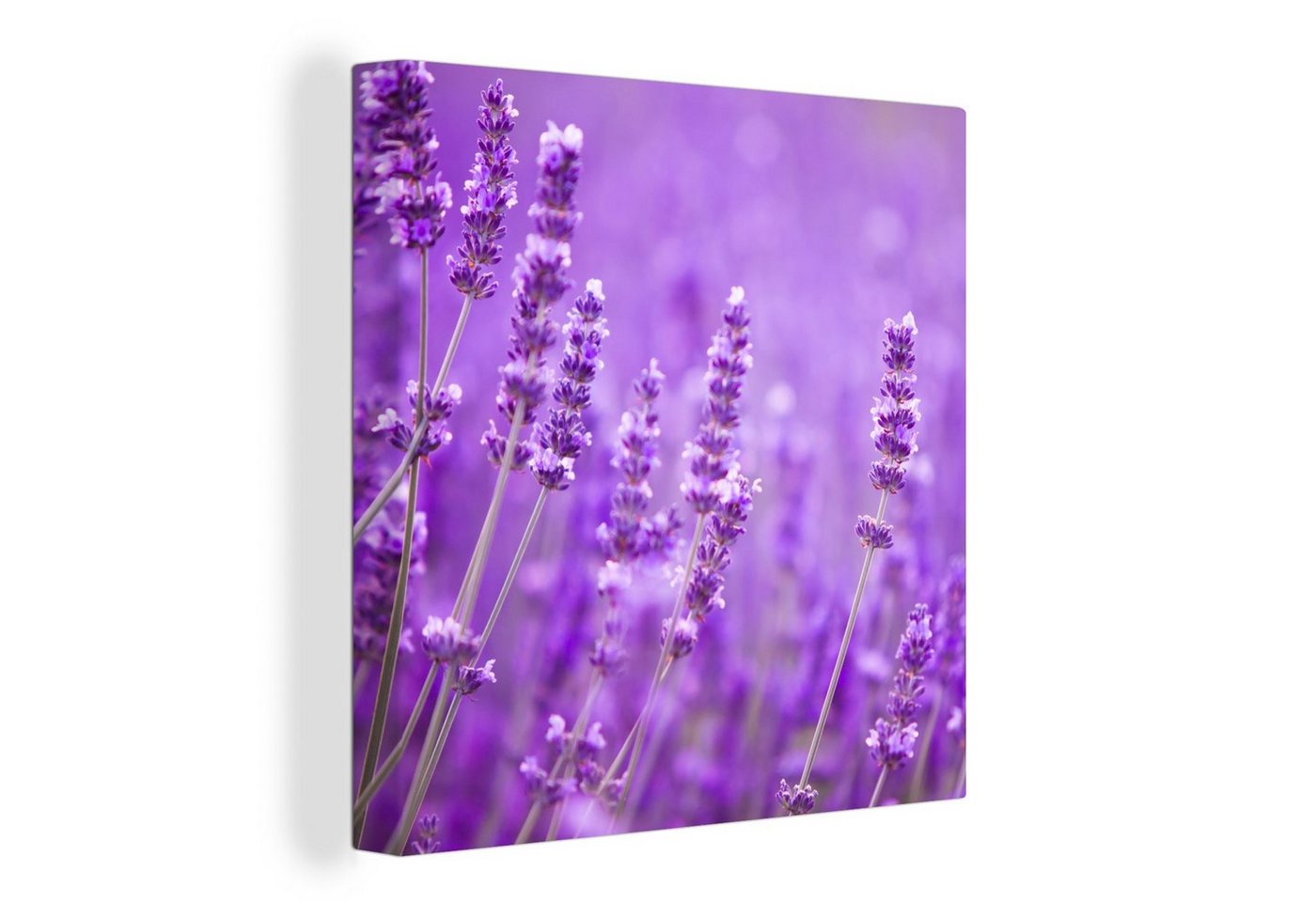 OneMillionCanvasses® Leinwandbild Lavendel - Nahaufnahme - Blumen - Lila, (1 St), Leinwand Bilder für Wohnzimmer Schlafzimmer von OneMillionCanvasses®
