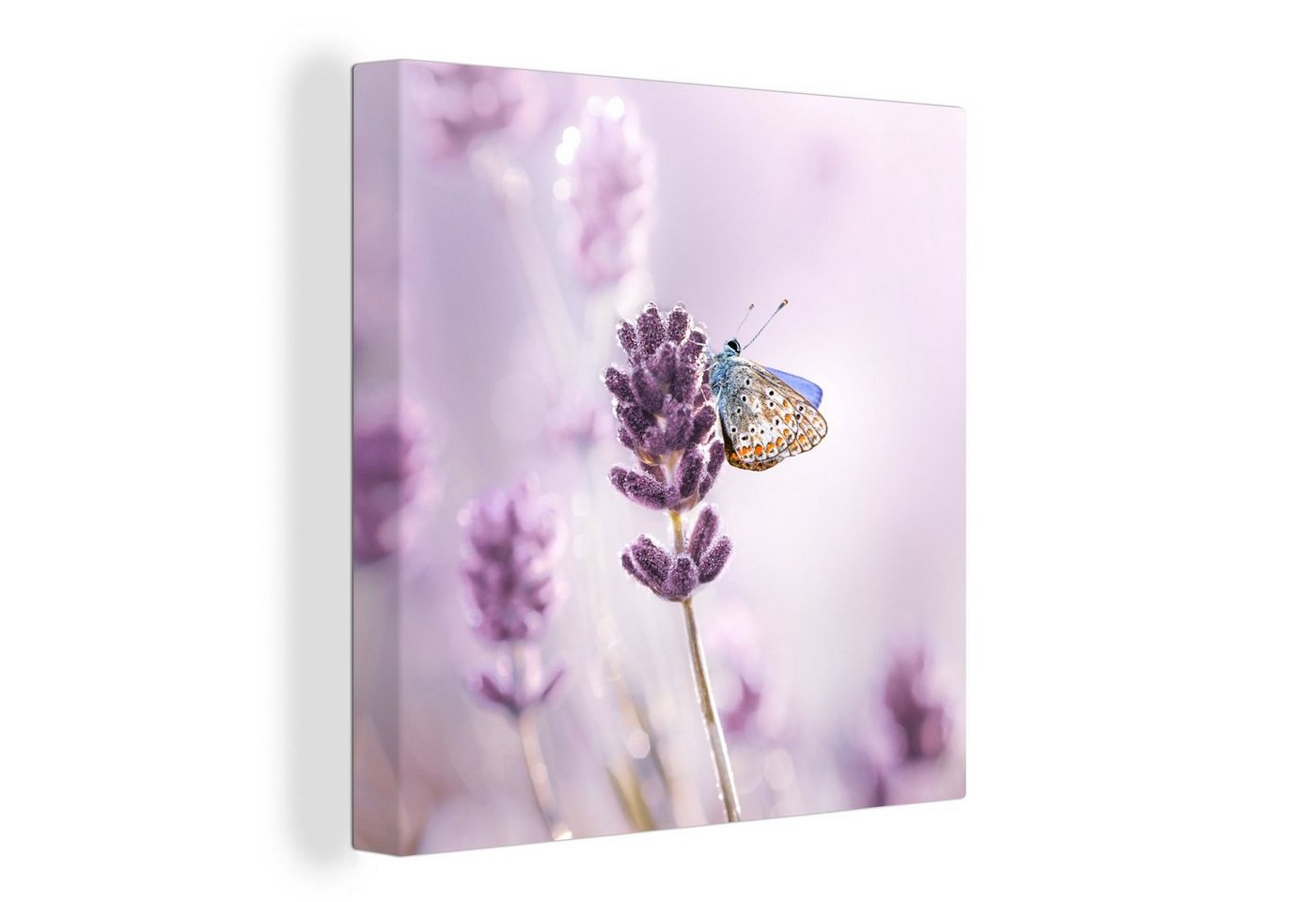 OneMillionCanvasses® Leinwandbild Lavendel - Schmetterling - Nahaufnahme - Lila, (1 St), Leinwand Bilder für Wohnzimmer Schlafzimmer von OneMillionCanvasses®