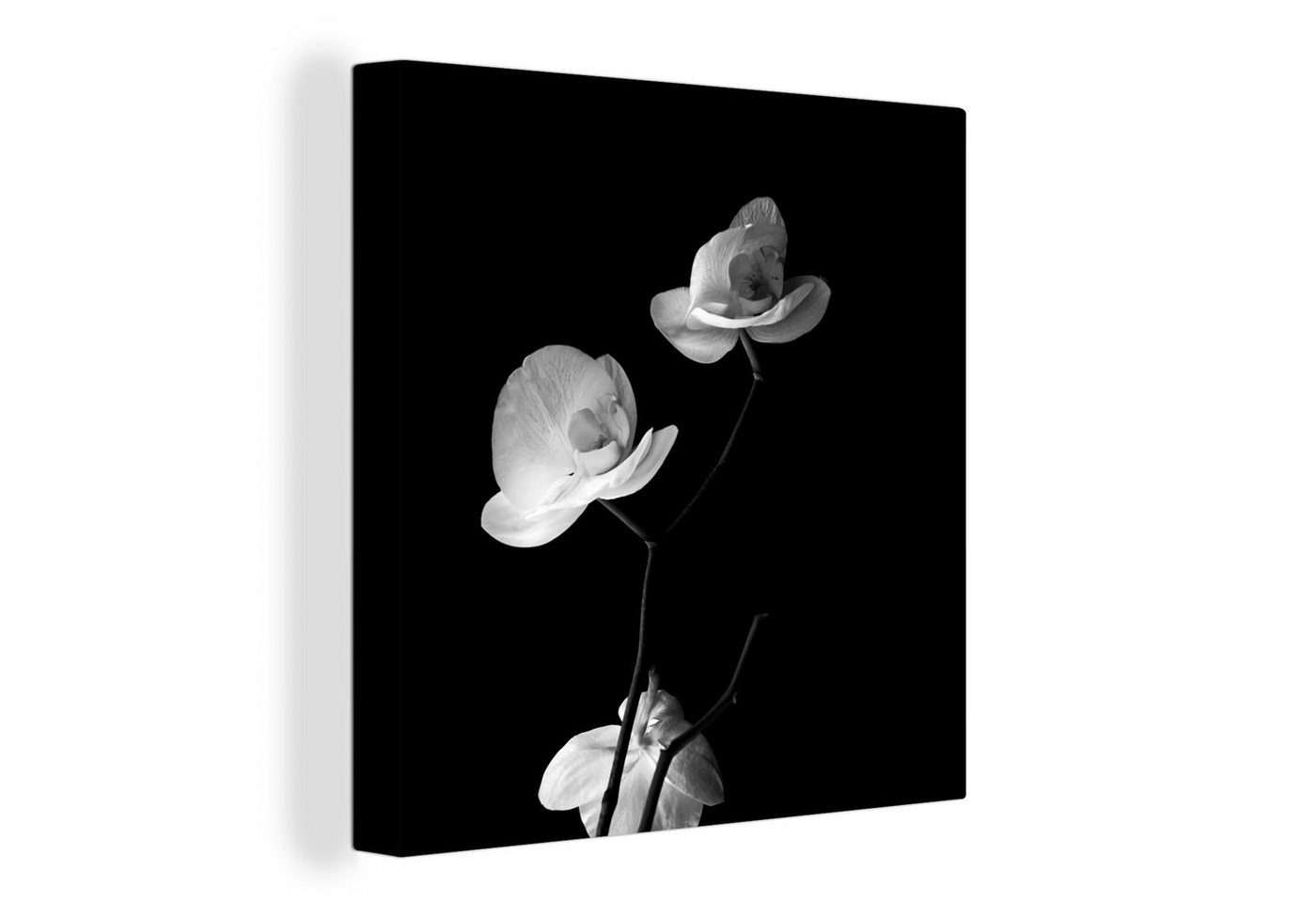 OneMillionCanvasses® Leinwandbild Orchidee - Blumen - Schwarz - Weiß - Stilleben, (1 St), Leinwand Bilder für Wohnzimmer Schlafzimmer von OneMillionCanvasses®