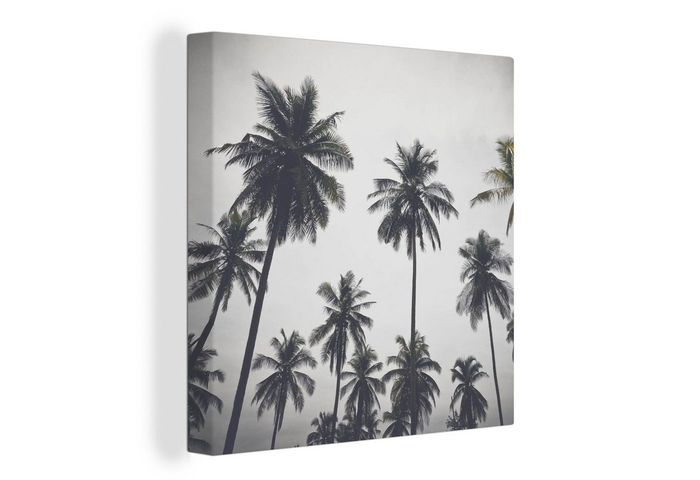 OneMillionCanvasses® Leinwandbild Palme - Tropisch - Natur, (1 St), Leinwand Bilder für Wohnzimmer Schlafzimmer von OneMillionCanvasses®