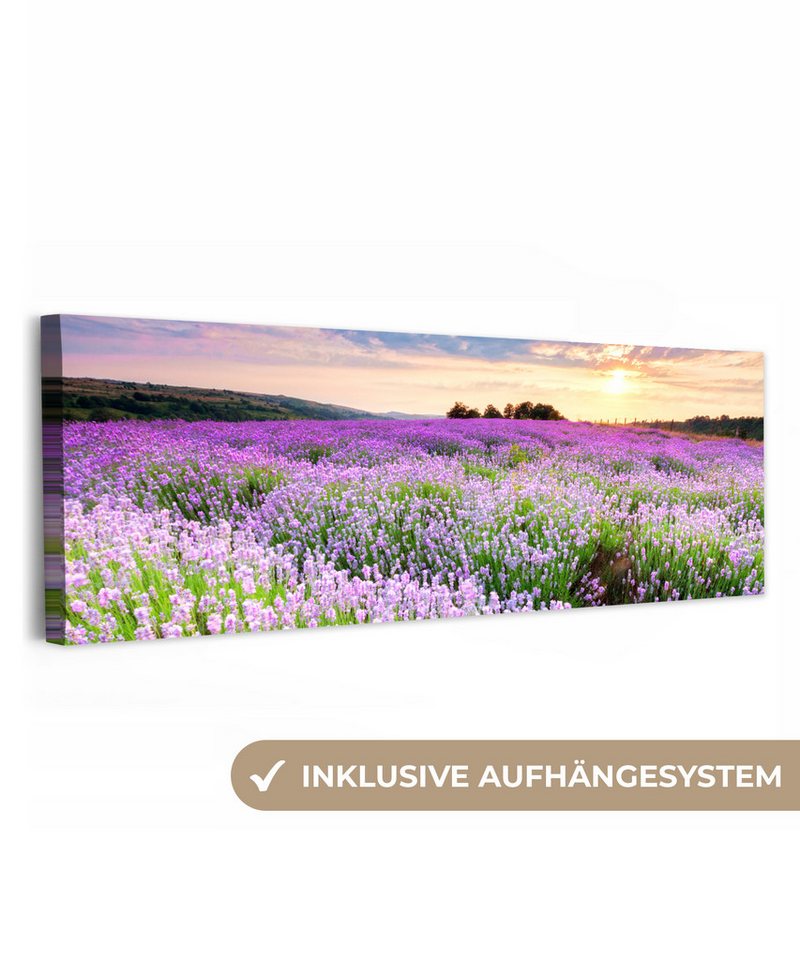 OneMillionCanvasses® Leinwandbild Panorama Blumen - Lavendel - Lila - Himmel - Sonnenuntergang - Wiese -, Fotodruck (1 St), Wandbild, Deko Schlafzimmer Wohnzimmer Flur 60x20 cm von OneMillionCanvasses®