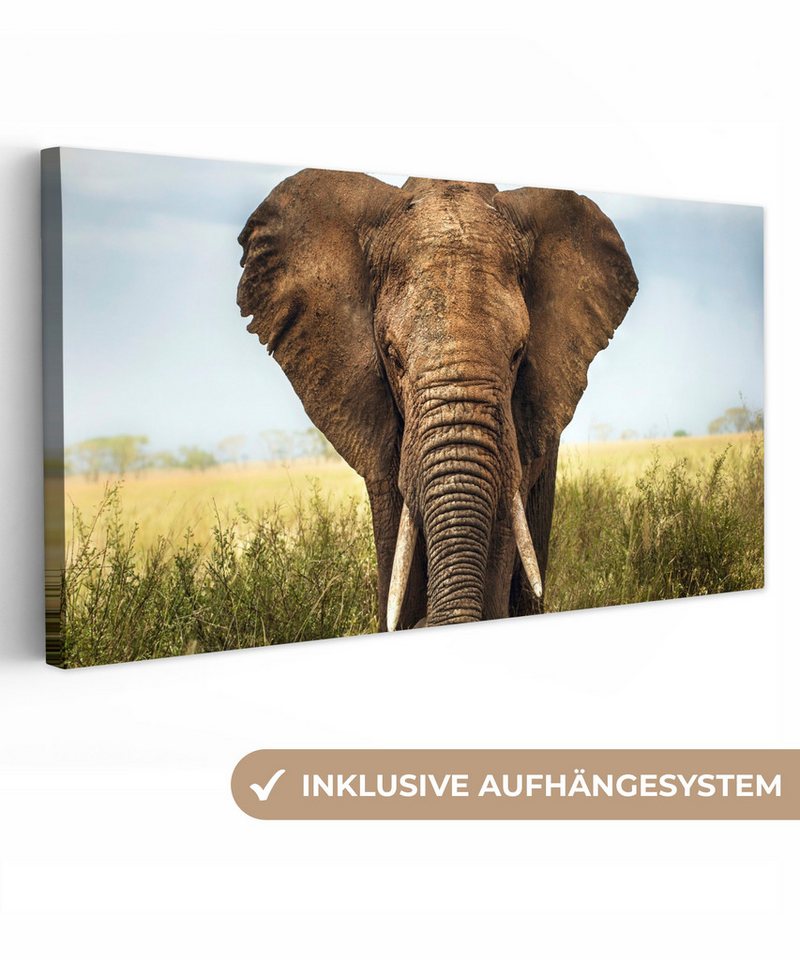 OneMillionCanvasses® Leinwandbild Panorama Elefant - Gras - Tiere - Natur, Fotodruck (1 St), Wandbild, Deko Schlafzimmer Wohnzimmer Flur 40x20 cm von OneMillionCanvasses®