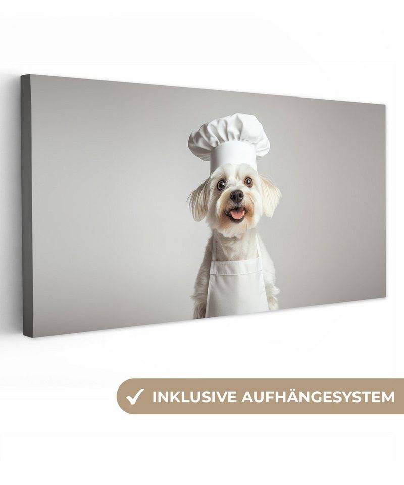 OneMillionCanvasses® Leinwandbild Panorama Hund - Weiß - Koch, Fotodruck (1 St), Wandbild, Deko Schlafzimmer Wohnzimmer Flur 40x20 cm von OneMillionCanvasses®