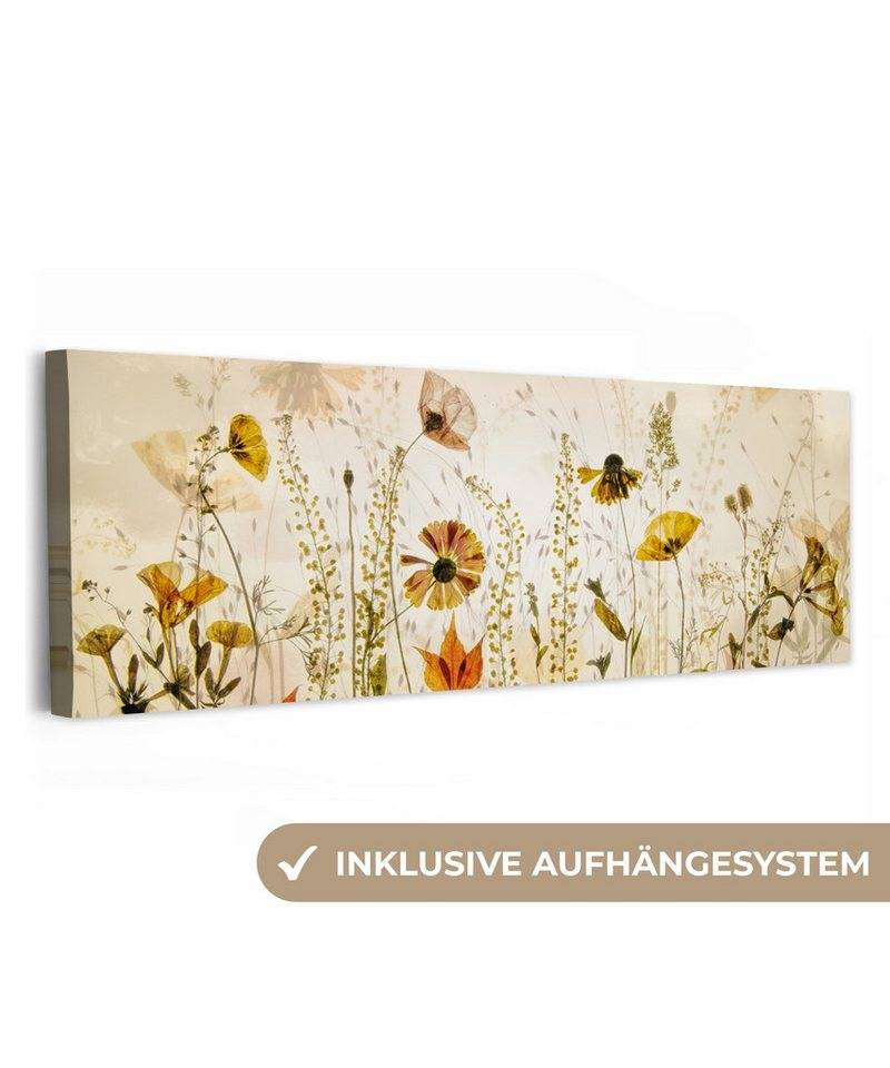 OneMillionCanvasses® Leinwandbild Panorama Illustration - Pflanzen - Insekten - Beige, Fotodruck (1 St), Wandbild, Deko Schlafzimmer Wohnzimmer Flur 60x20 cm von OneMillionCanvasses®