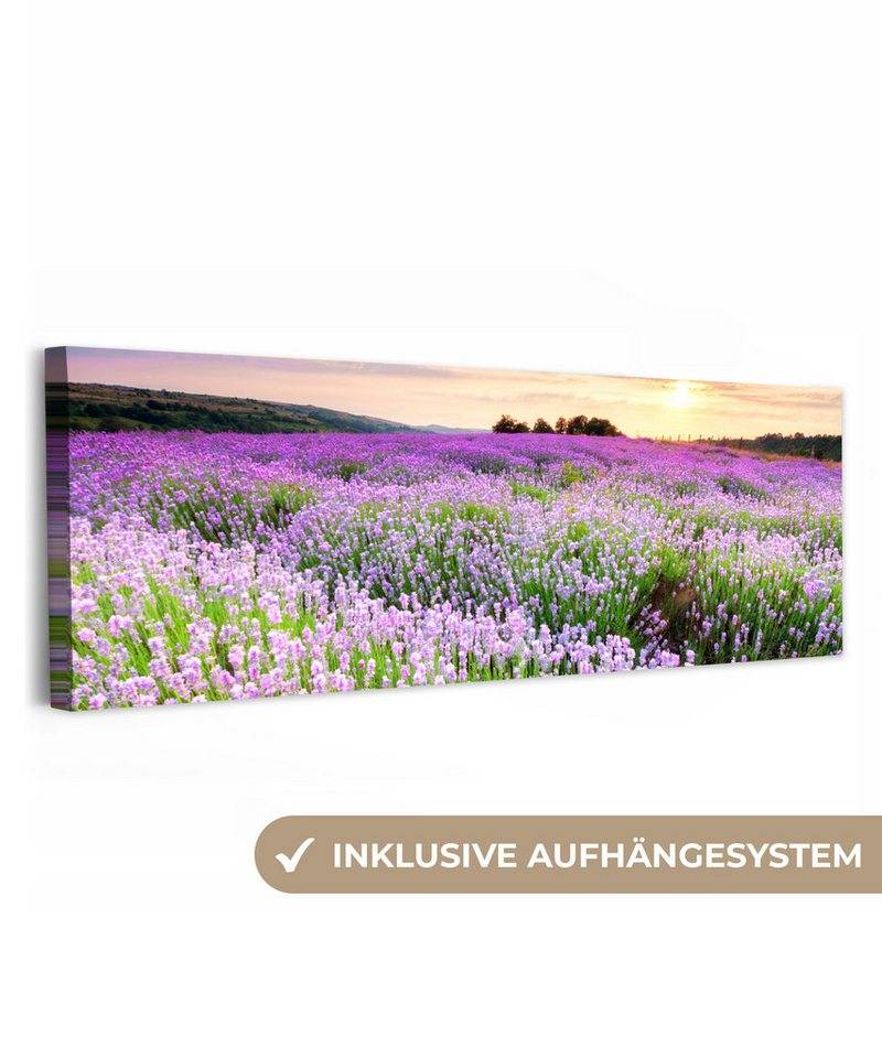 OneMillionCanvasses® Leinwandbild Panorama Lavendel - Blumen - Sonnenuntergang - Lila - Wiese, Fotodruck (1 St), Wandbild, Deko Schlafzimmer Wohnzimmer Flur 60x20 cm von OneMillionCanvasses®