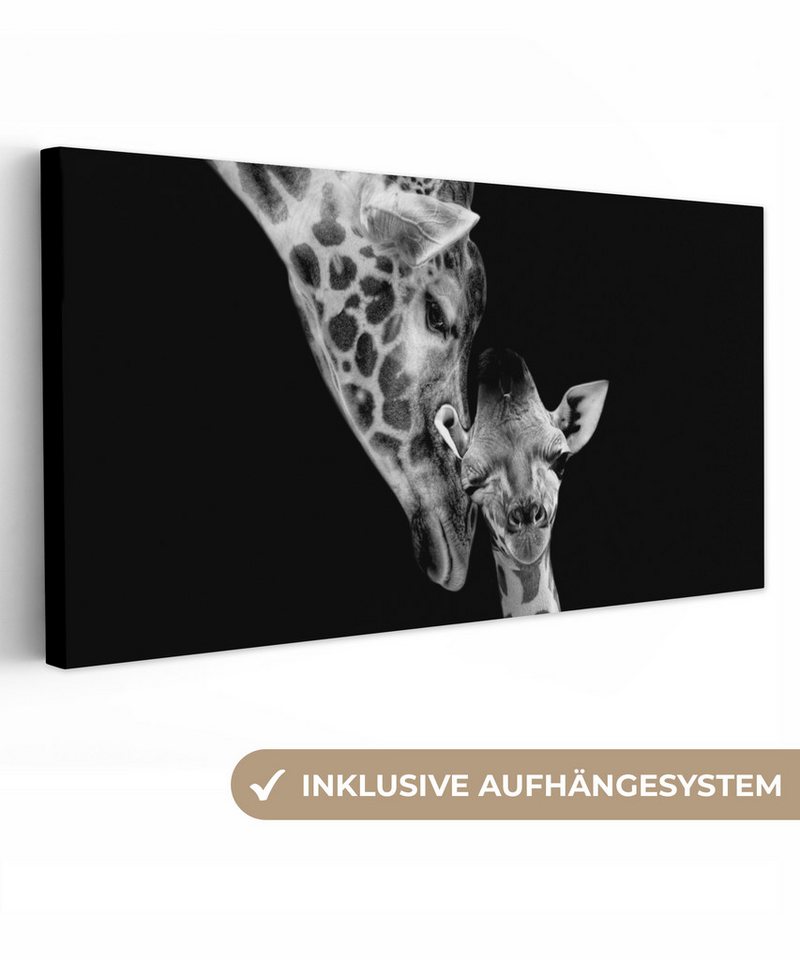 OneMillionCanvasses® Leinwandbild Panorama Porträt - Giraffe - Tiere - Schwarz - Weiß, Fotodruck (1 St), Wandbild, Deko Schlafzimmer Wohnzimmer Flur 40x20 cm von OneMillionCanvasses®
