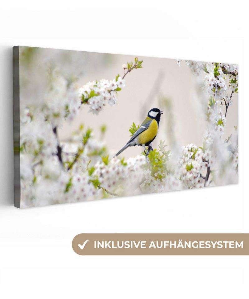 OneMillionCanvasses® Leinwandbild Panorama Vogel - Kohlmeise - Blumen - Blütenbaum, Fotodruck (1 St), Wandbild, Deko Schlafzimmer Wohnzimmer Flur 40x20 cm von OneMillionCanvasses®