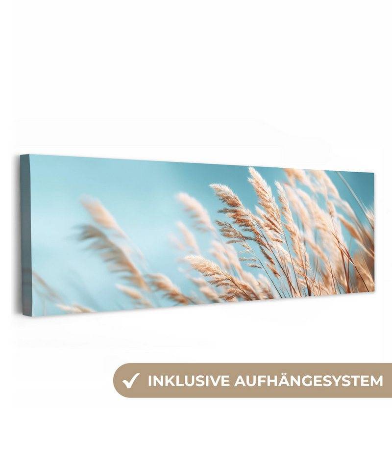 OneMillionCanvasses® Leinwandbild Panorama Ziergras - Wind - Hellbraun, Fotodruck (1 St), Wandbild, Deko Schlafzimmer Wohnzimmer Flur 60x20 cm von OneMillionCanvasses®