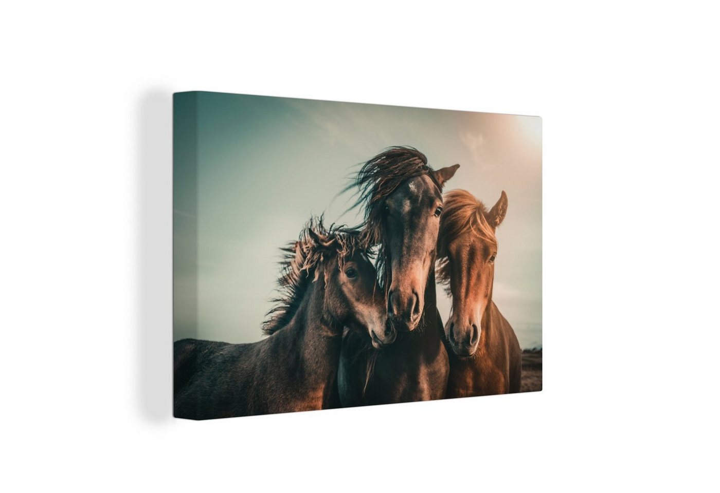 OneMillionCanvasses® Leinwandbild Pferde - Nahaufnahme - Sonne, (1 St), Wandbild Leinwandbilder, Aufhängefertig, Wanddeko, 30x20 cm von OneMillionCanvasses®