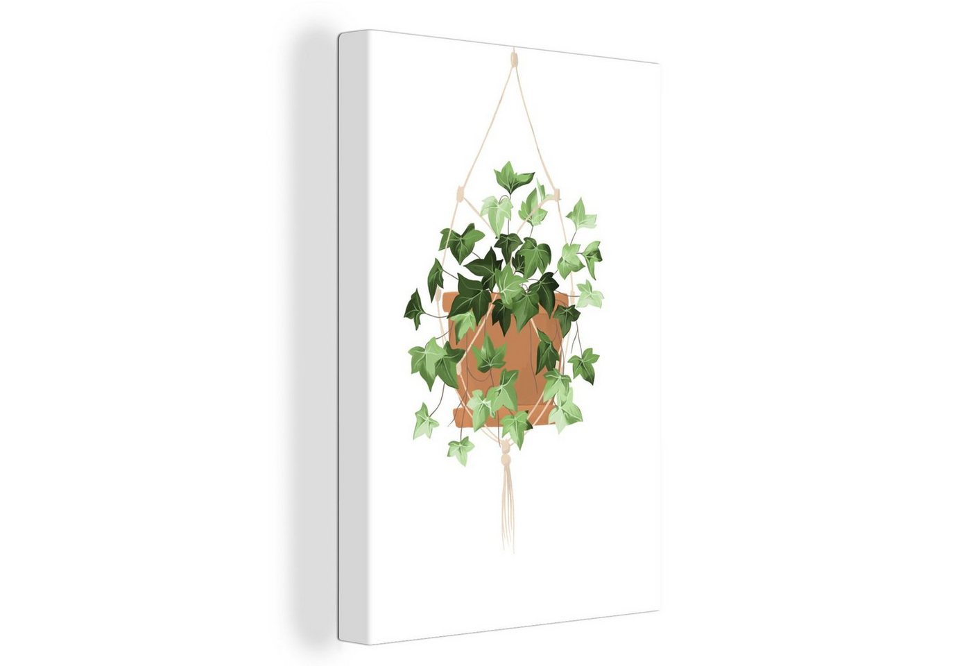 OneMillionCanvasses® Leinwandbild Pflanzen - Kletterpflanze - Hängender Blumentopf, Fotodruck (1 St), Leinwand Canvas Wandbild, Wanddekoration 20x30 cm von OneMillionCanvasses®