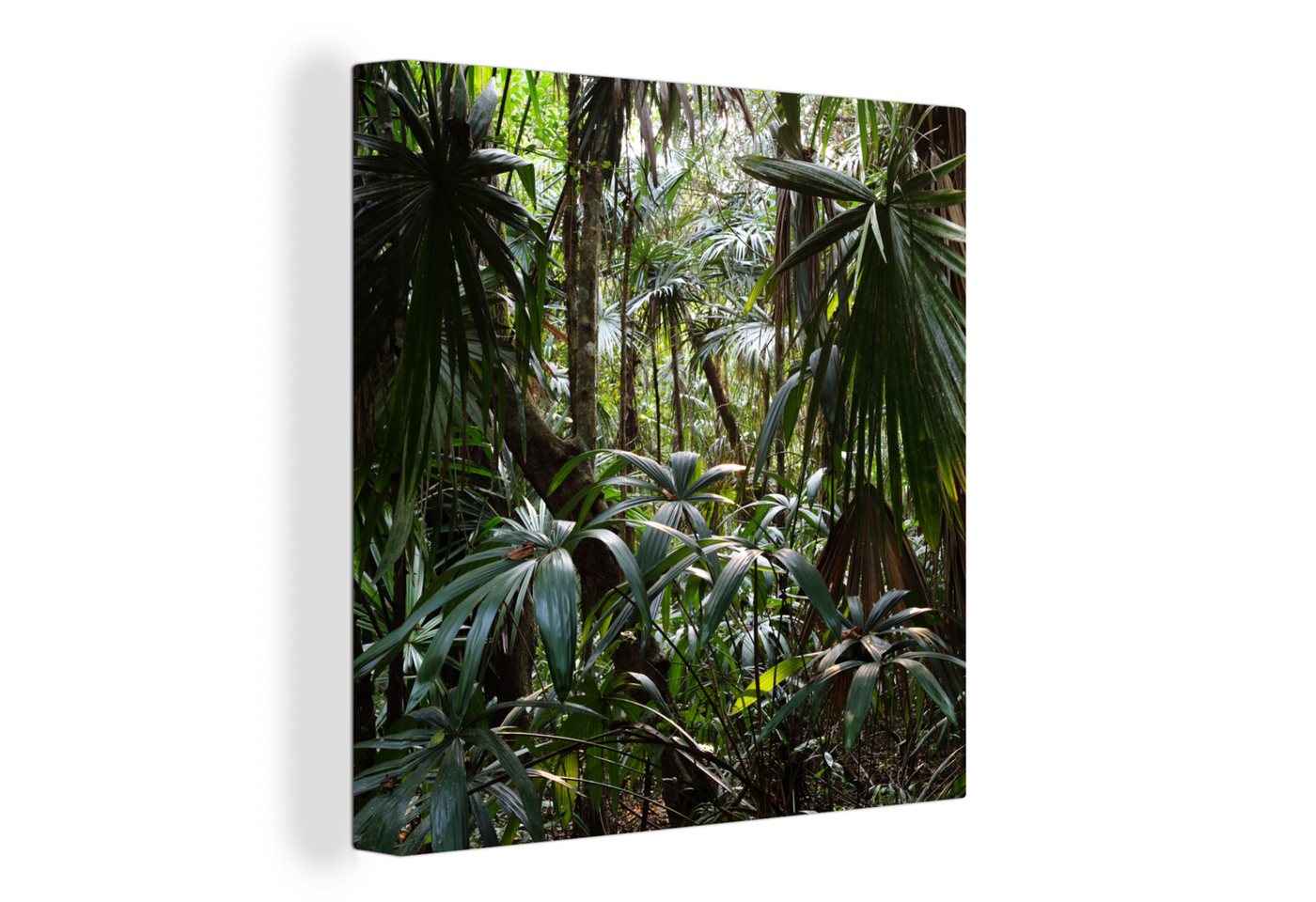 OneMillionCanvasses® Leinwandbild Pflanzen im Regenwald, (1 St), Leinwand Bilder für Wohnzimmer Schlafzimmer von OneMillionCanvasses®