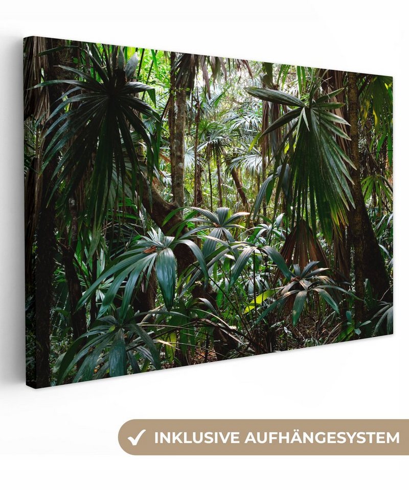 OneMillionCanvasses® Leinwandbild Pflanzen im Regenwald, (1 St), Wandbild Leinwandbilder, Aufhängefertig, Wanddeko, 30x20 cm von OneMillionCanvasses®