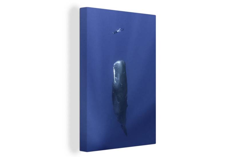 OneMillionCanvasses® Leinwandbild Pottwal - Taucher - Blau, (1 St), Leinwand Canvas Wandbild, Wanddekoration 20x30 cm von OneMillionCanvasses®